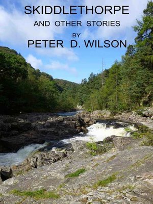 cover image of Skiddlethorpe and Other Stories